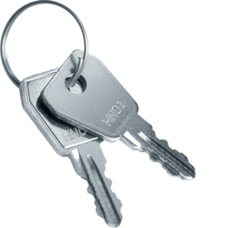 VZ304N Náhradní klíč pro zámek VZ302N (2ks)